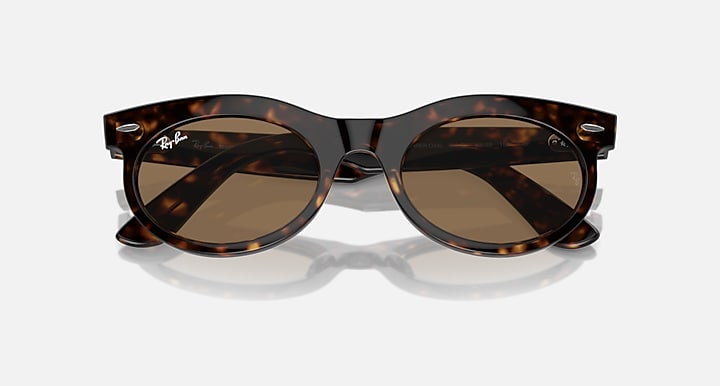 WAYFARER OVAL TRANSITIONS®