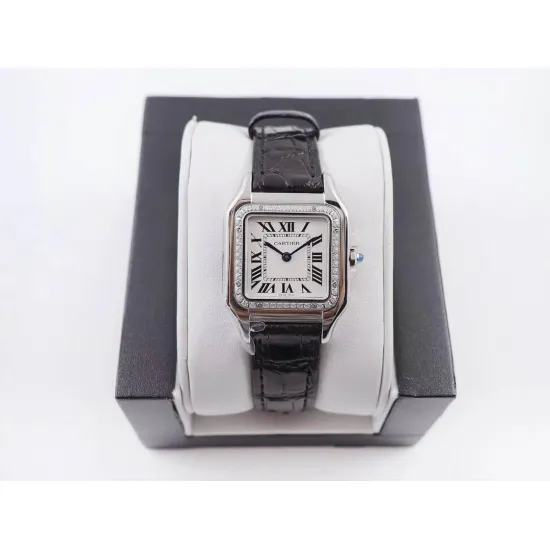 Cartier SANTOS : 27*37mm 22*30mm
