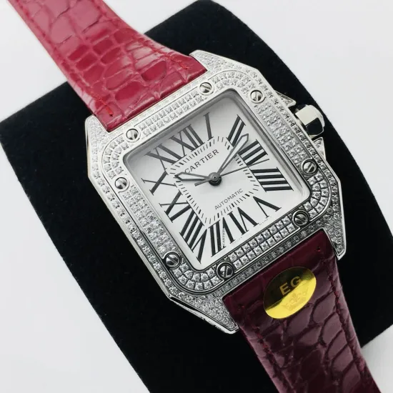 Cartier SANTOS