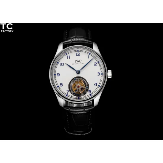 IWC PORTUGIESER 42*11MM