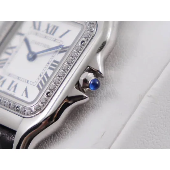 Cartier SANTOS : 27*37mm 22*30mm