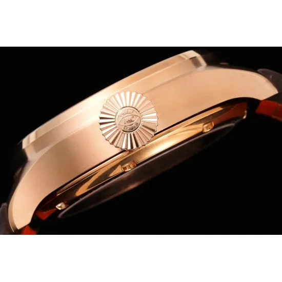 IWC PILOT'S WATCHES 46MM