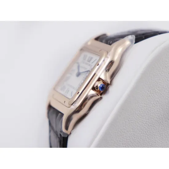 Cartier santos 27*37 22*30mm
