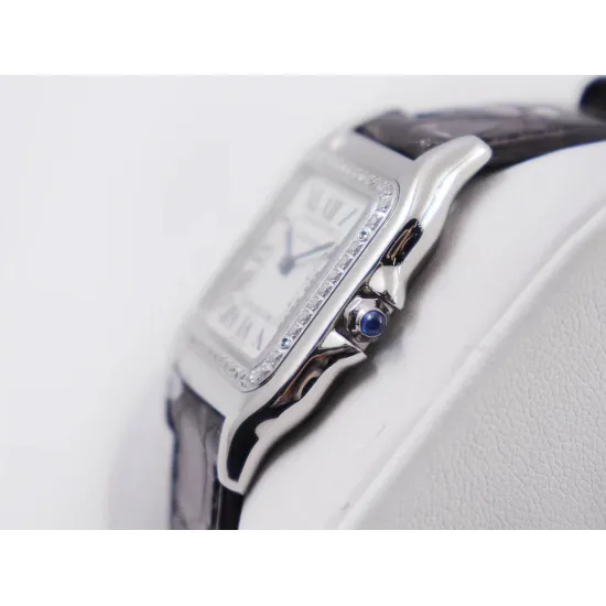 Cartier SANTOS : 27*37mm 22*30mm