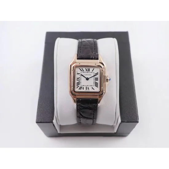 Cartier SANTOS : 27*37mm 22*30mm