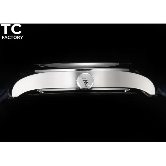 IWC PORTUGIESER 42*11MM