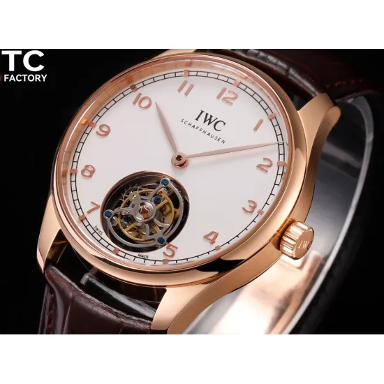 IWC PORTUGIESER 42*11MM