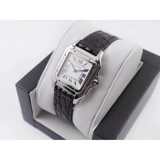 Cartier SANTOS : 27*37mm 22*30mm
