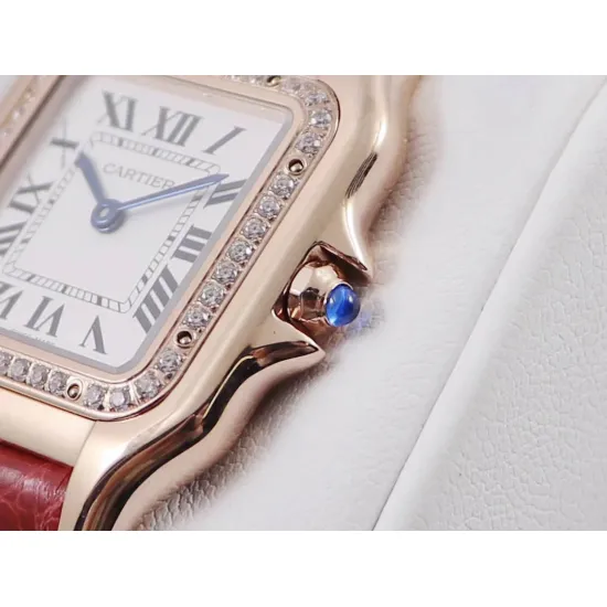 Cartier SANTOS : 27*37mm 22*30mm