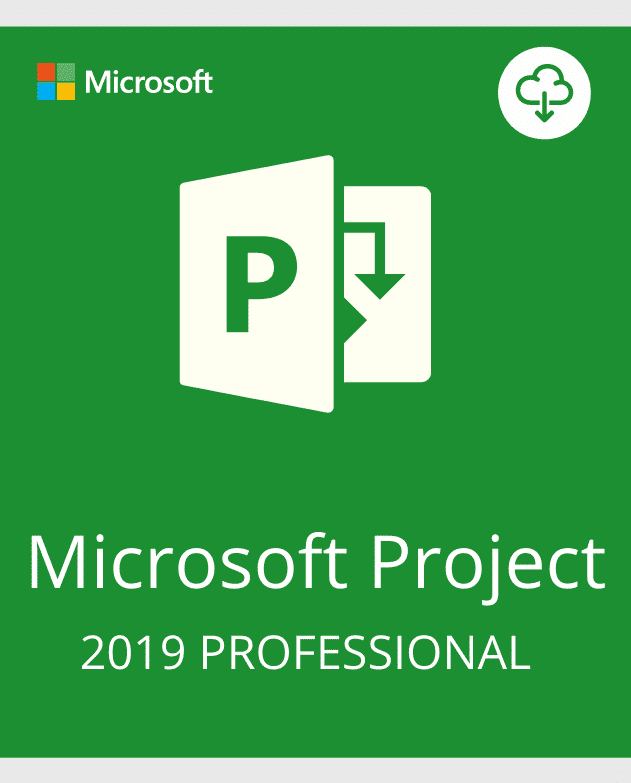 Project 2019 Professional Activation Key – (1PC)