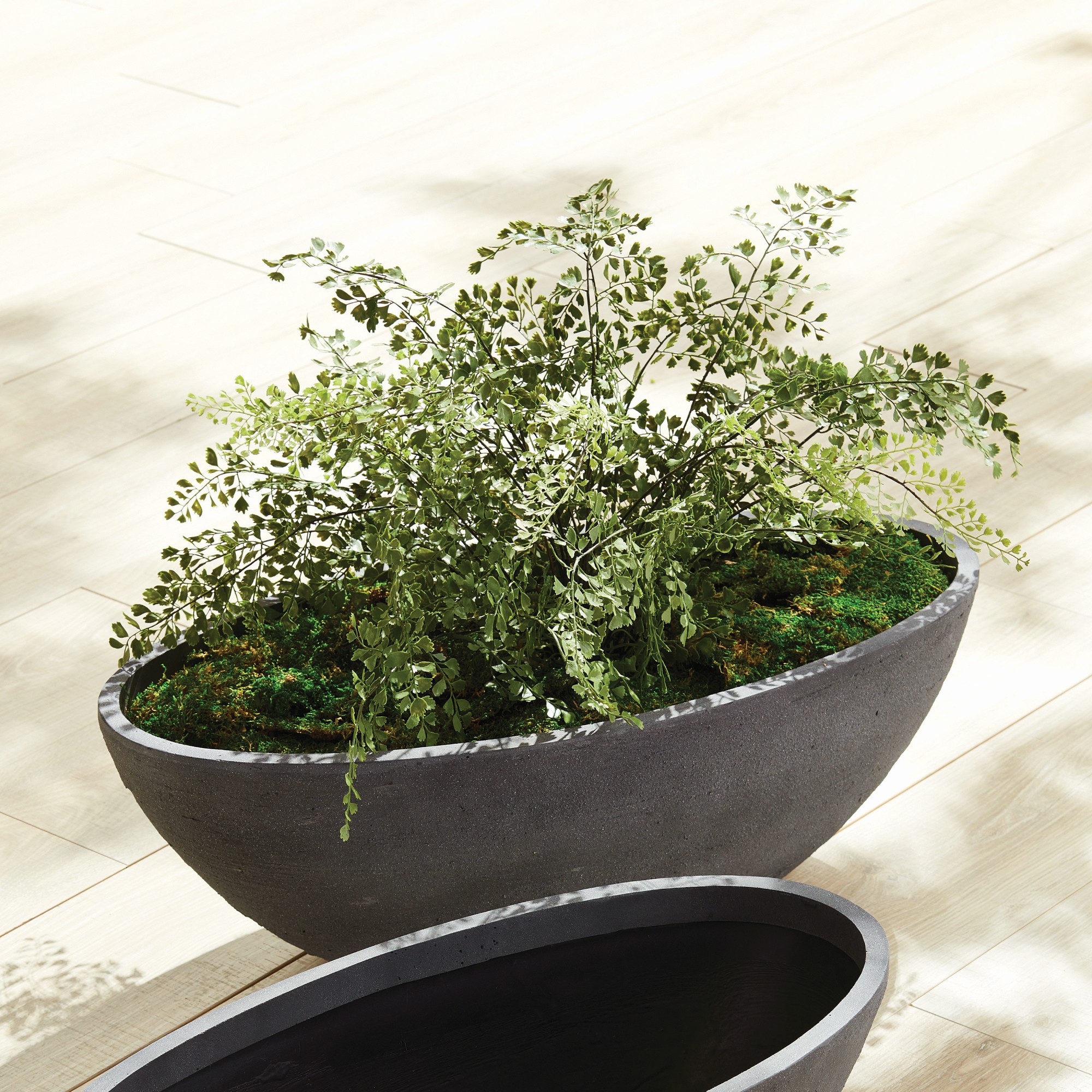 Faux Maidenhair Fern Drop-In, 18