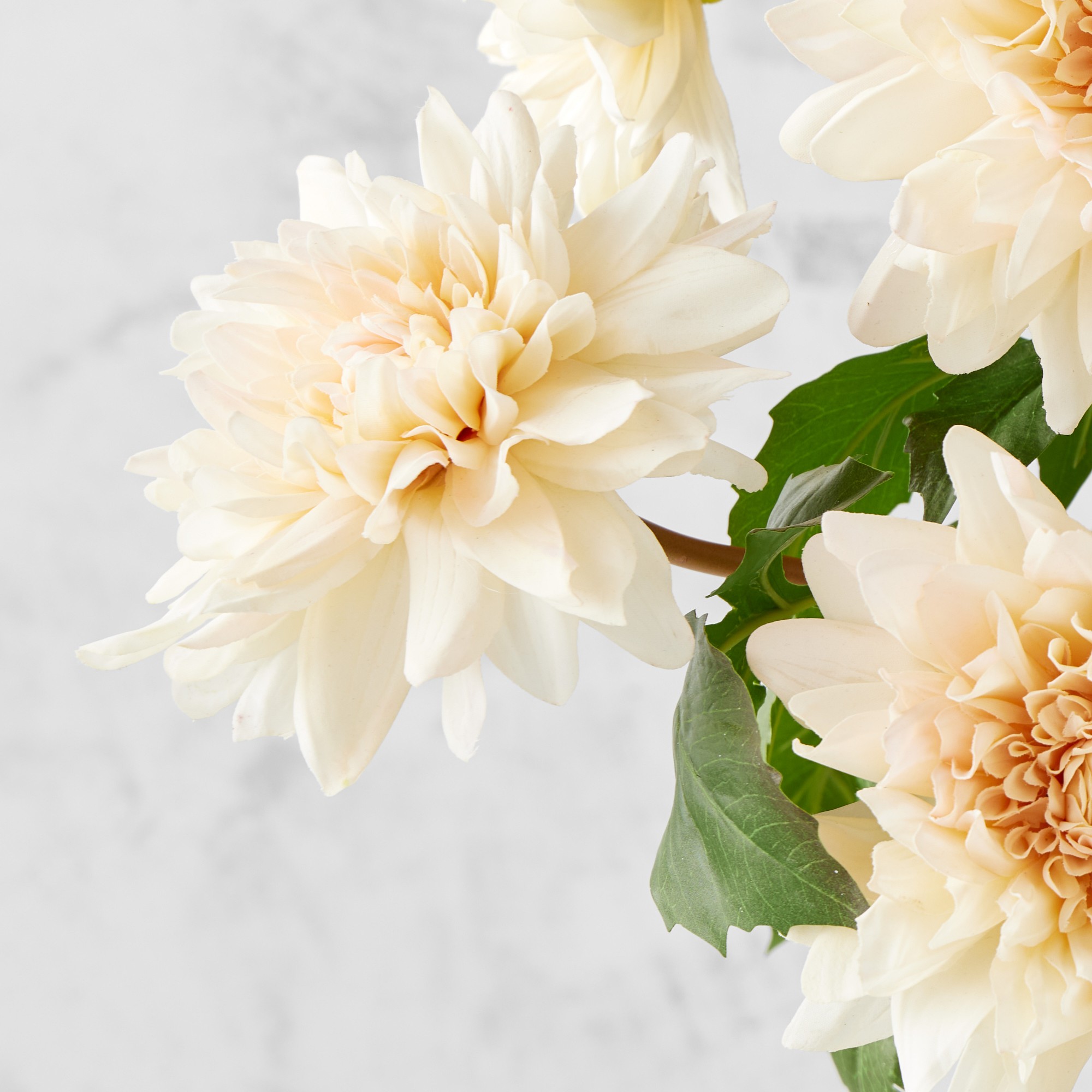 Jeff Leatham x Williams Sonoma Real Touch Faux Blush Dahlia Stems, Set of 12