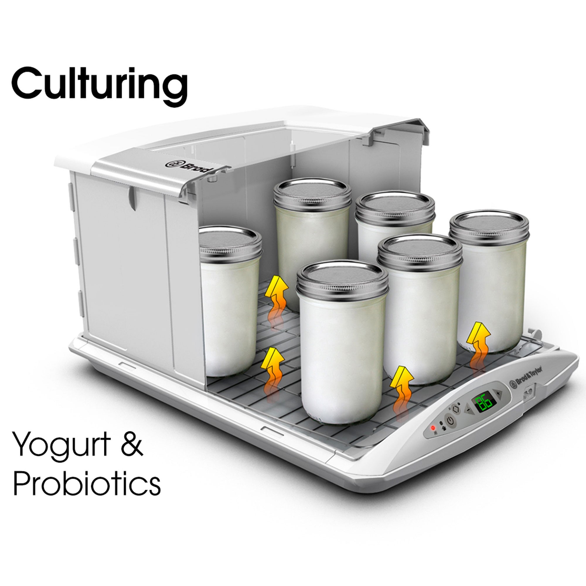 Brod & Taylor Folding Proofer & Slow Cooker