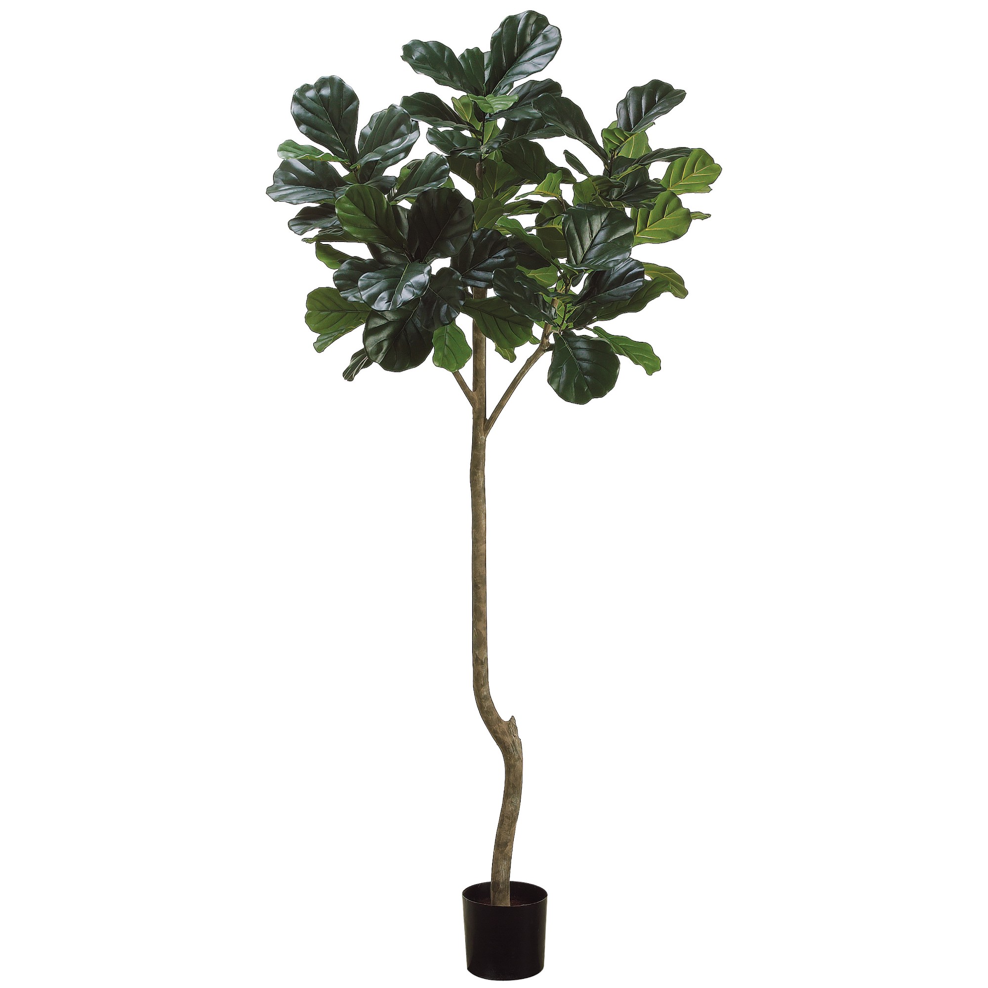 Faux Fiddle Leaf Plant in Plastic Pot, 96 Leaves, 84