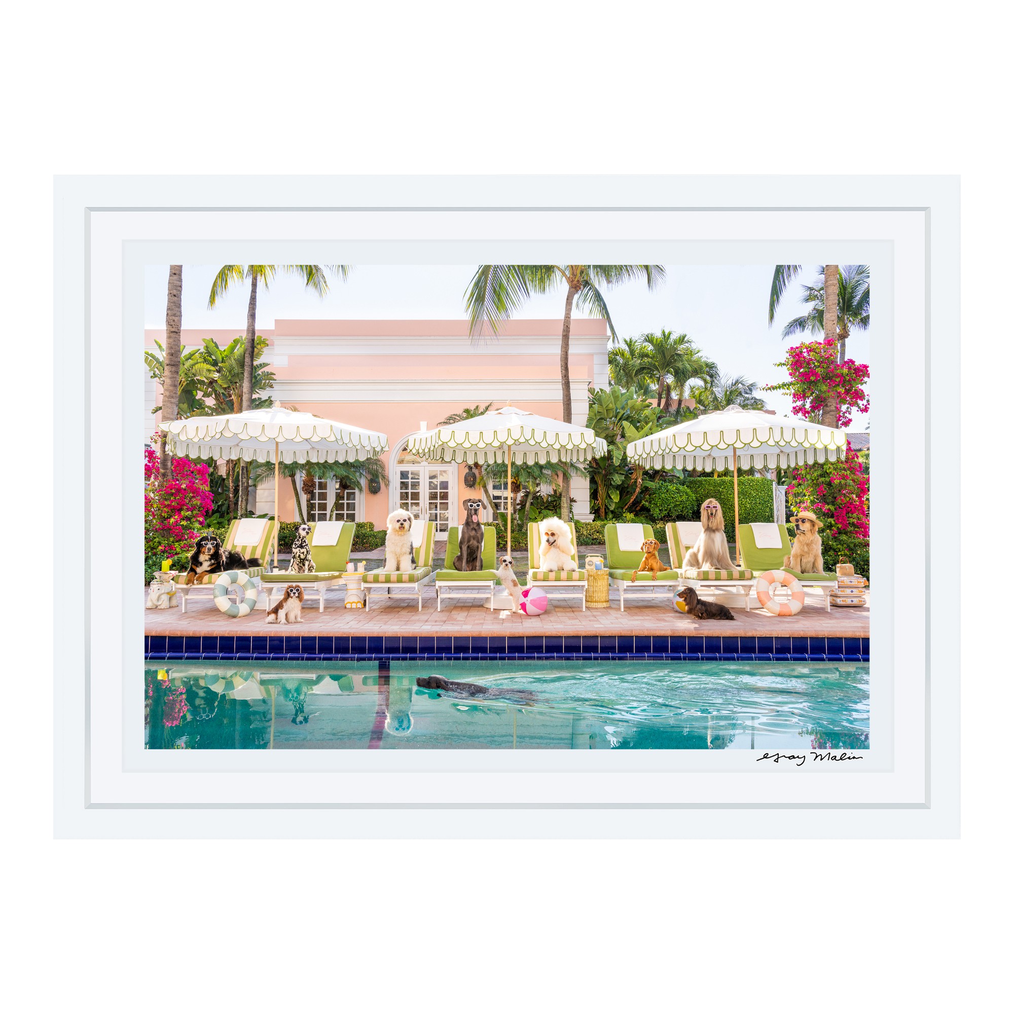 Gray Malin Pool Day Colony Hotel