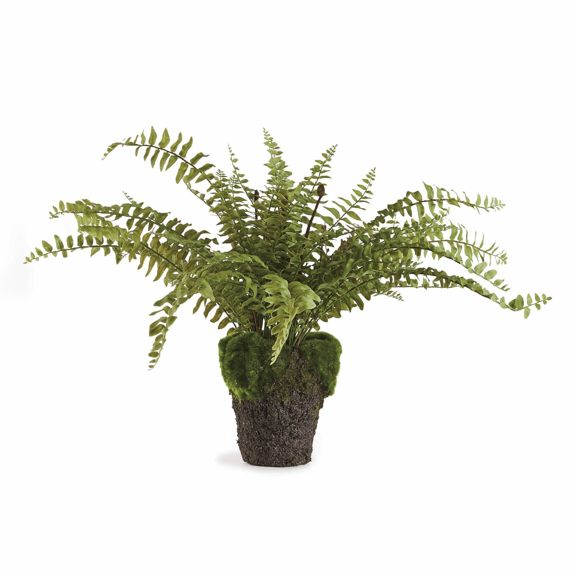 Faux Boston Fern Drop-In, 12