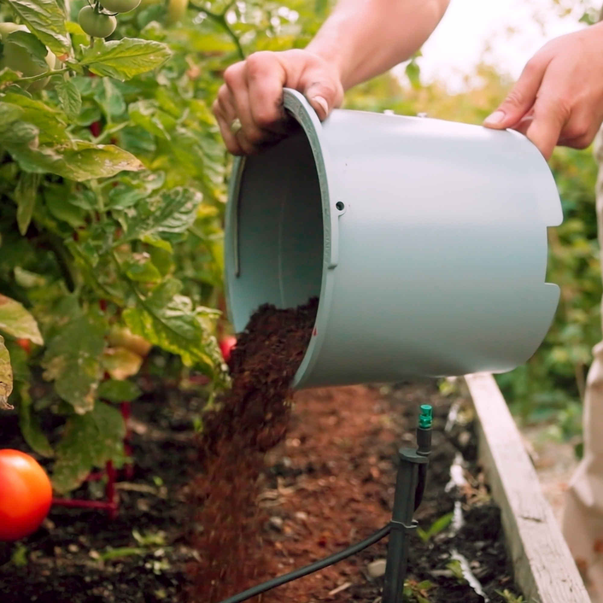 Lomi Bloom Food Waste Recycler