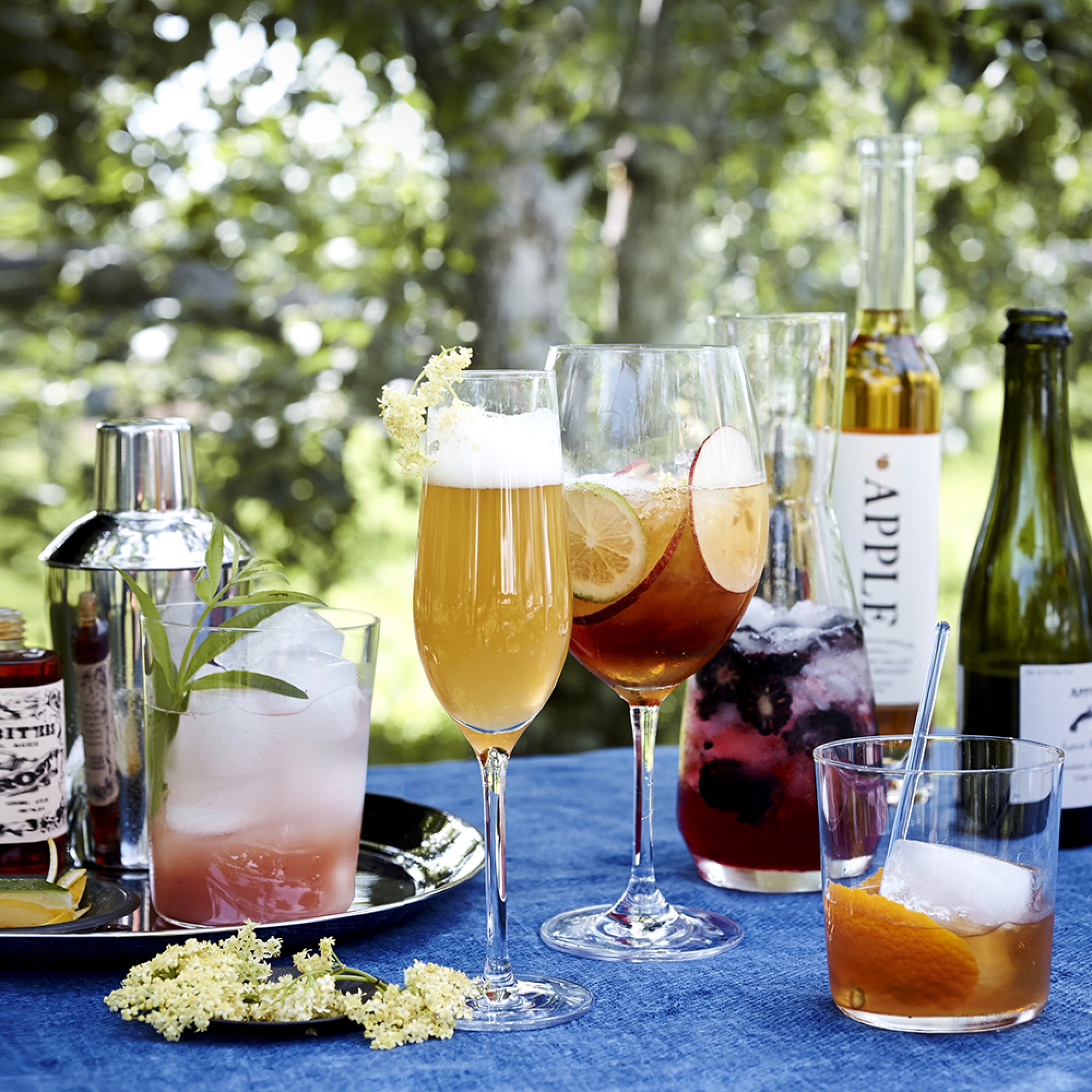 Open Kitchen by Williams Sonoma Red Wine Glasses