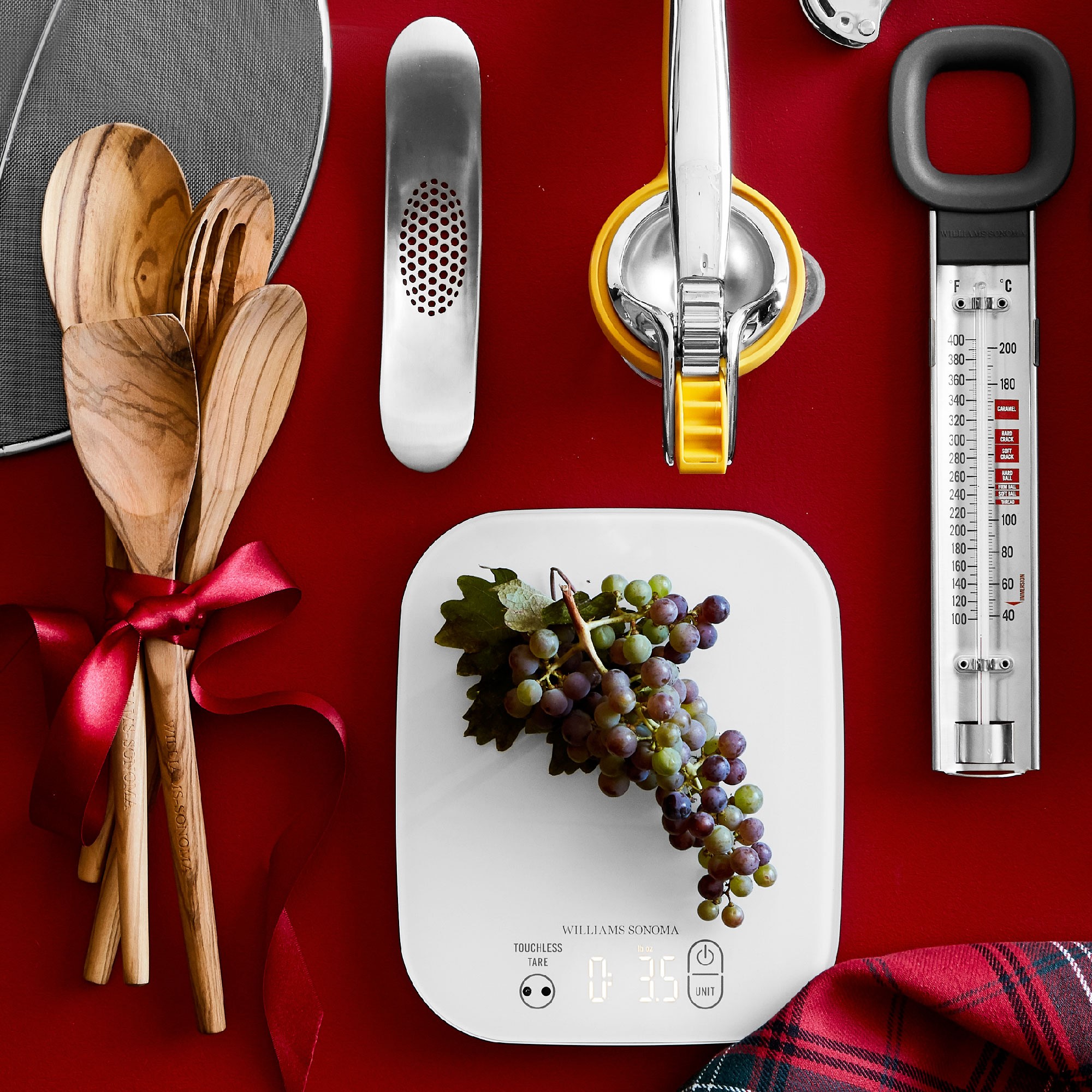 Williams Sonoma Easy-Read Candy Thermometer