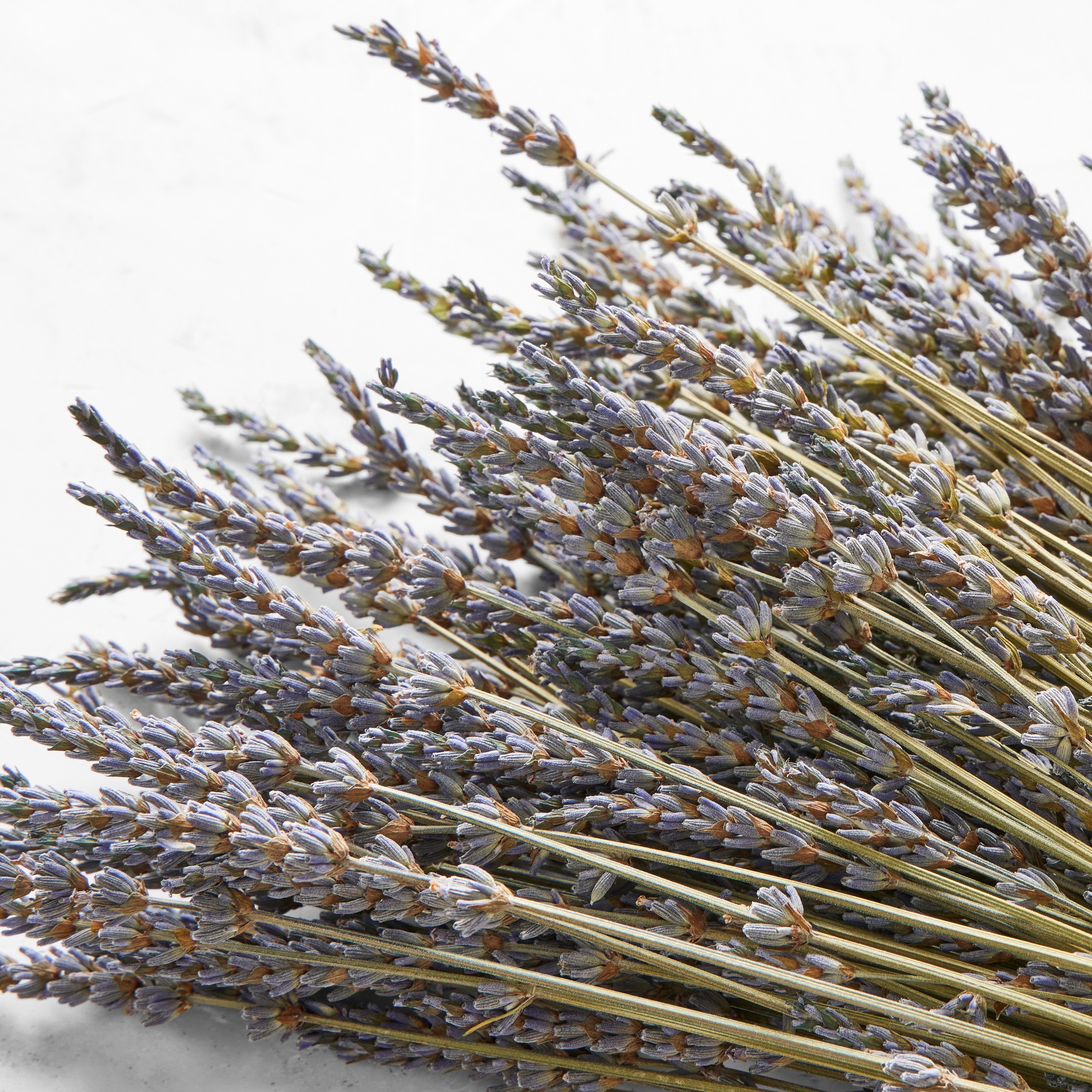 Dried Lavender Bunch