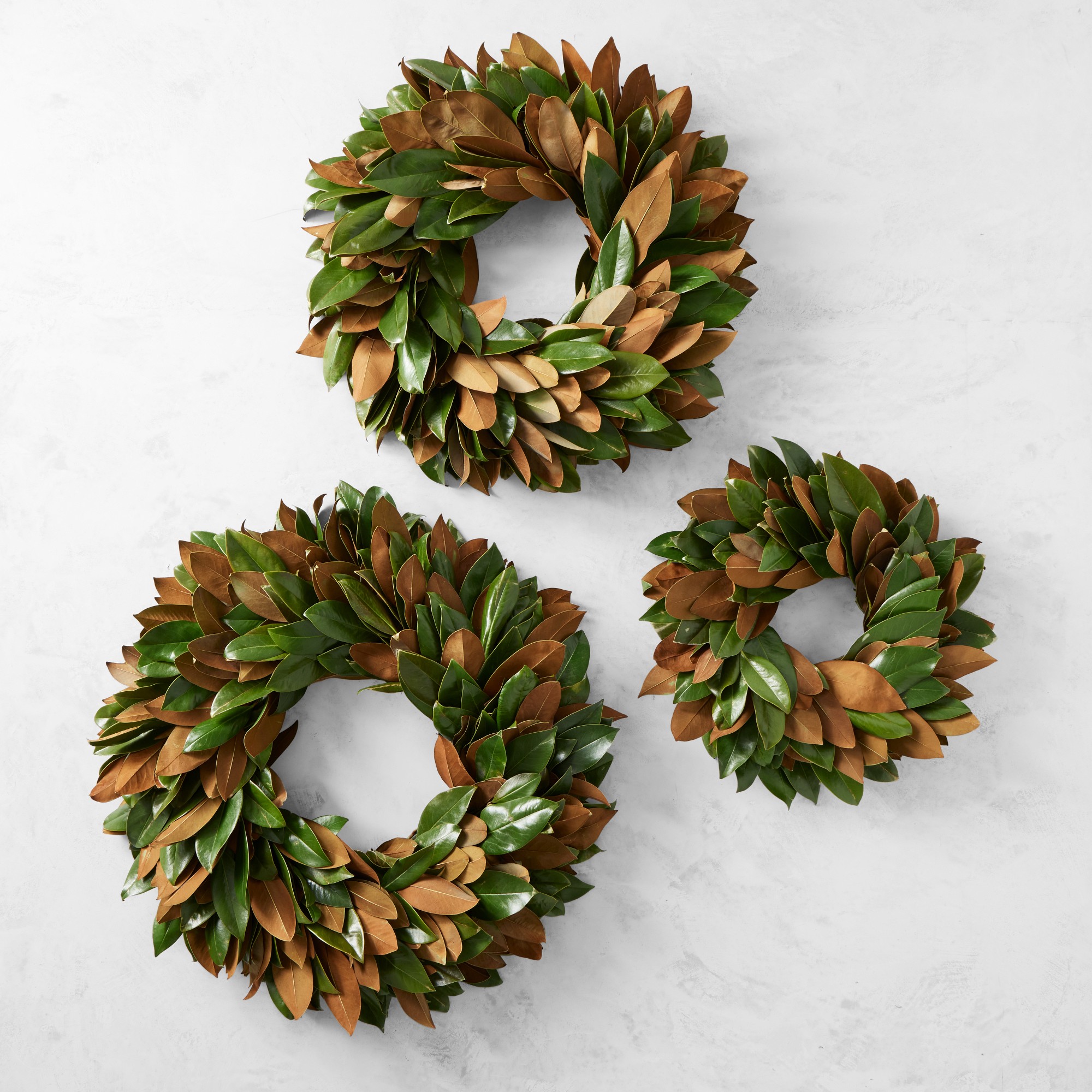 Magnolia Live Wreath & Garland