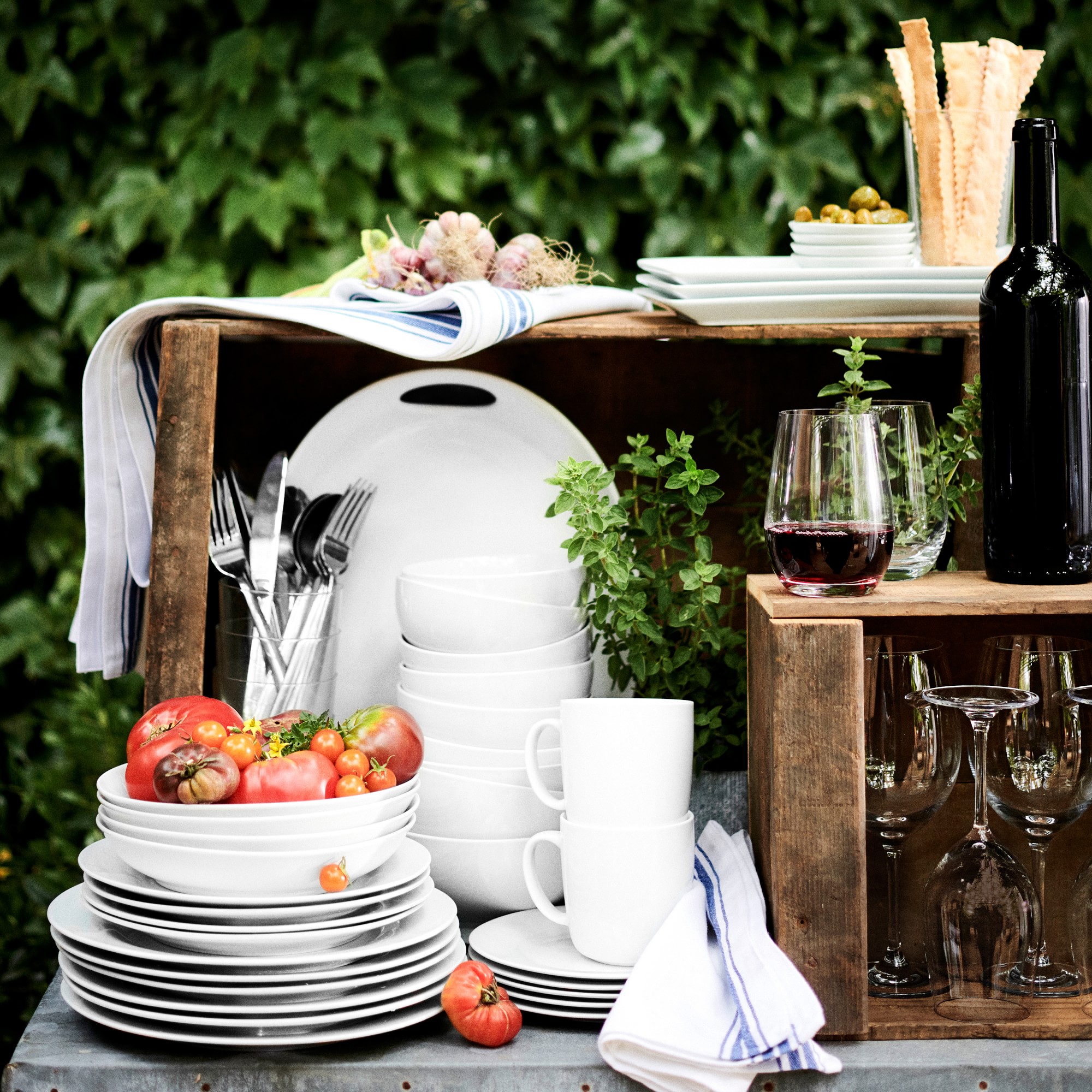 Open Kitchen by Williams Sonoma Salad Plates