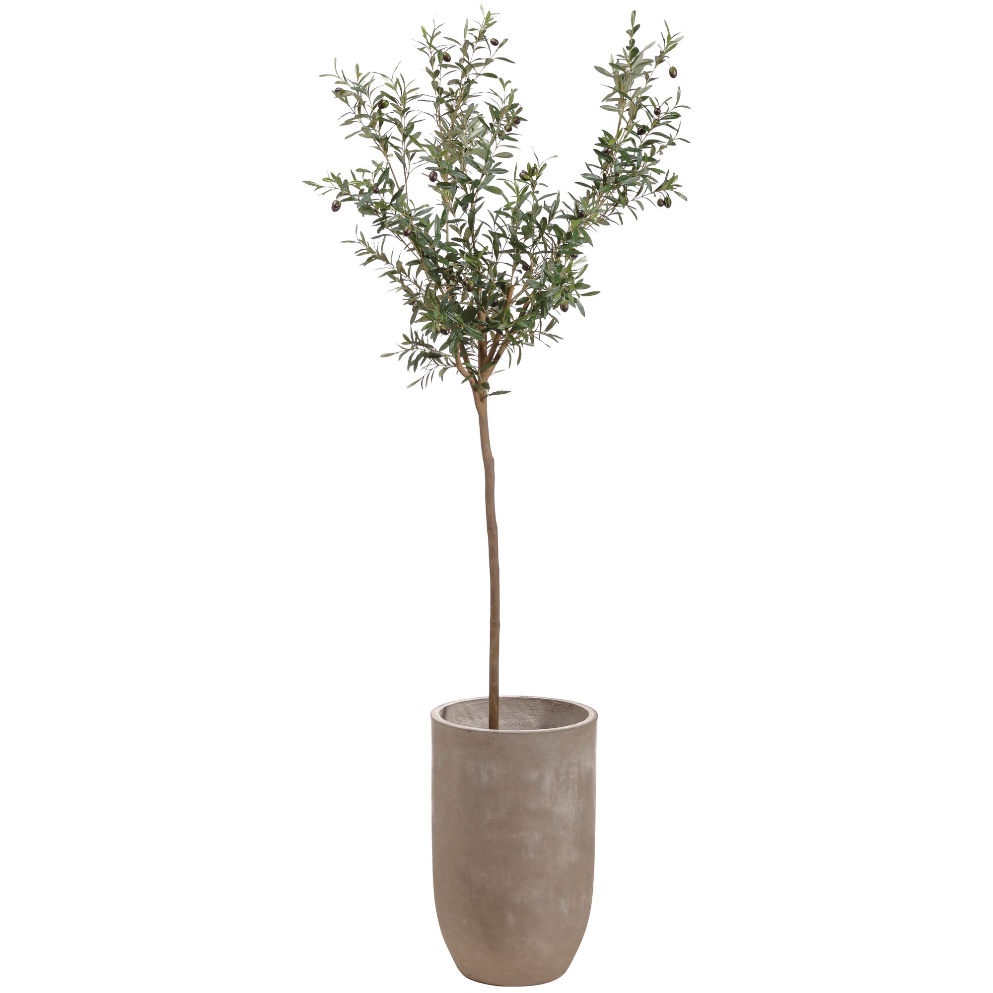 Faux Olive Tree in Cement Planter, 72