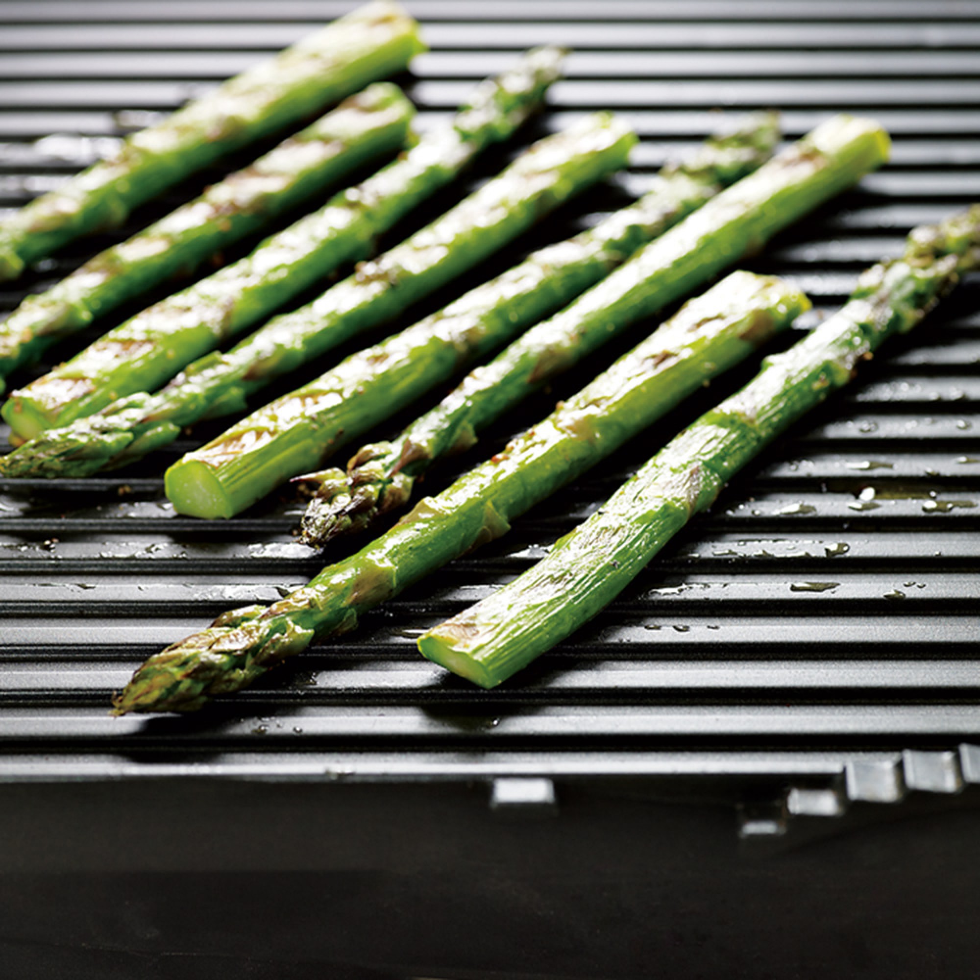 Breville Panini Grill™ & Press