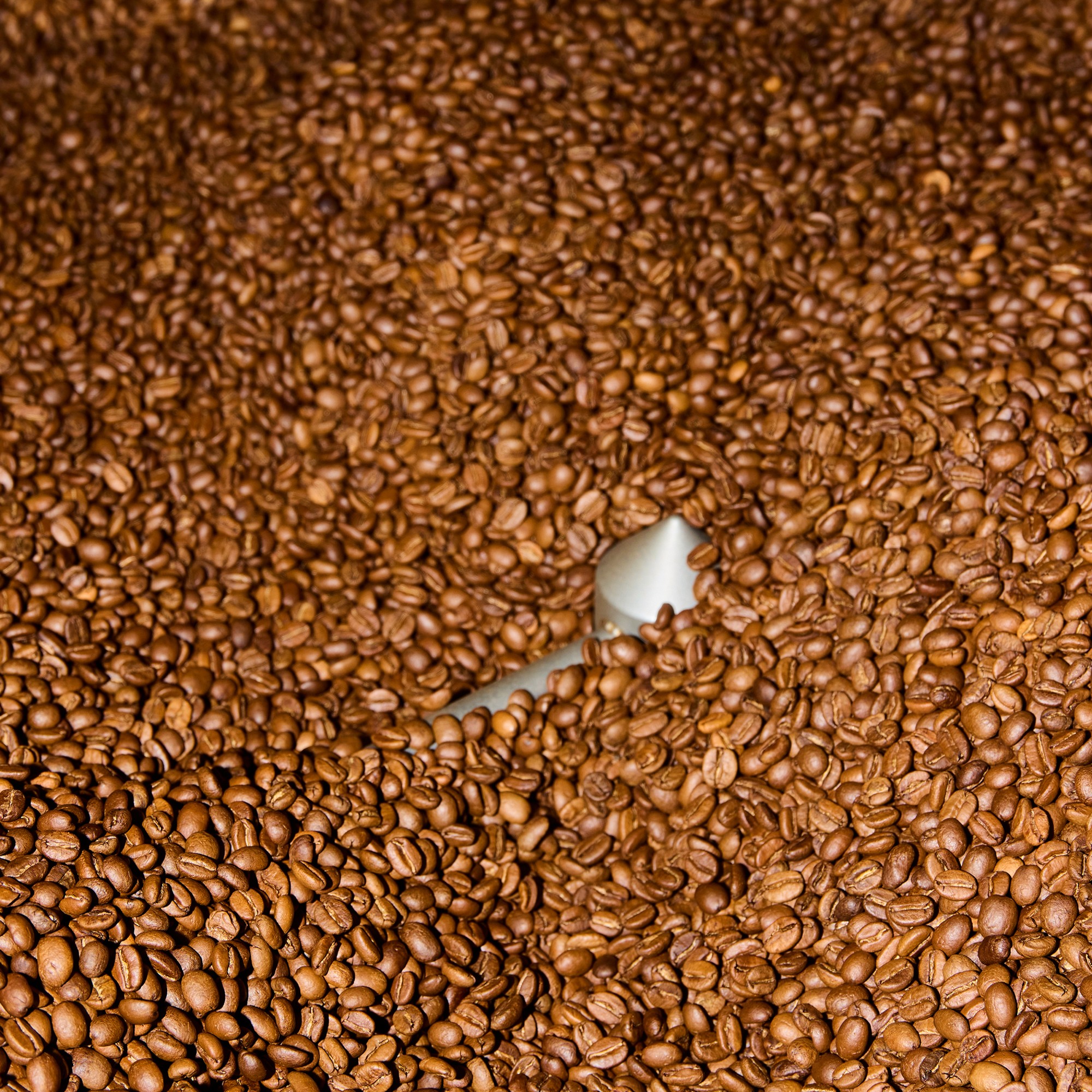 Verve Coffee Roasters Vancouver Decaf Blend Coffee Beans