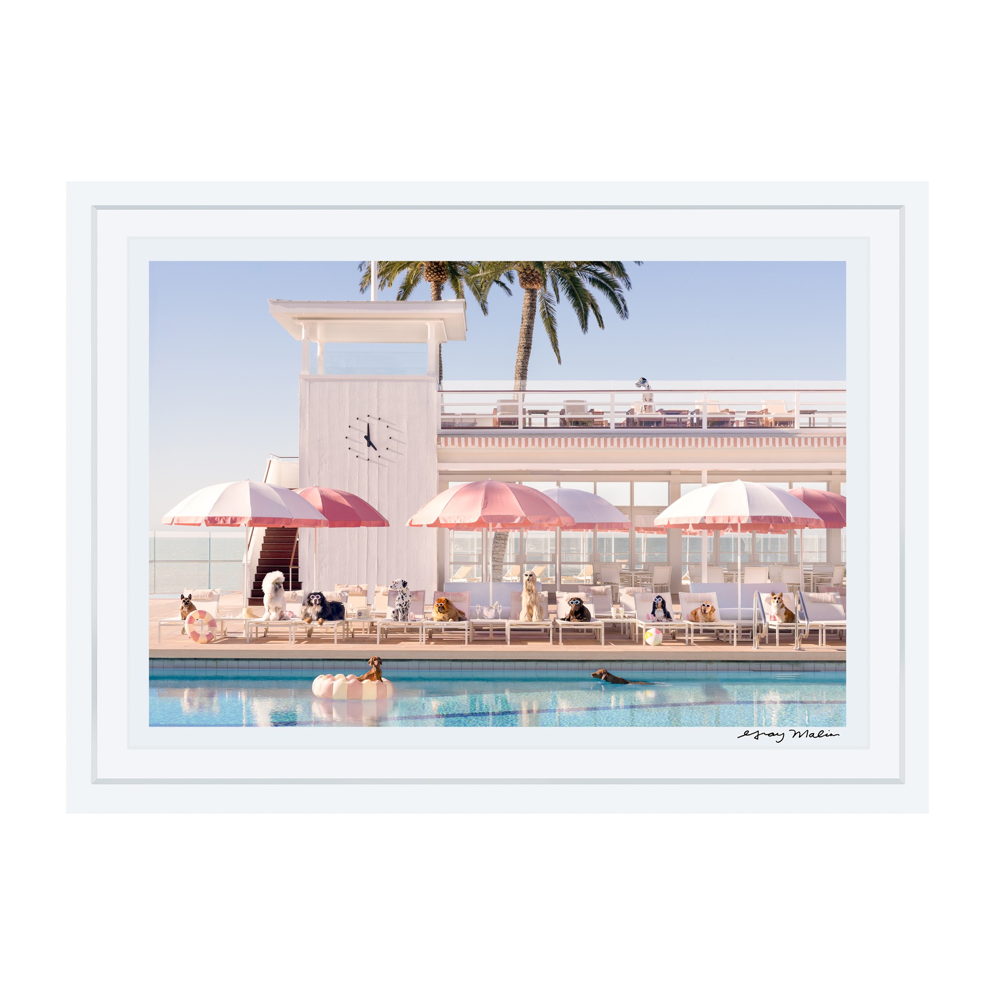 Gray Malin Pool Day Coral Casino