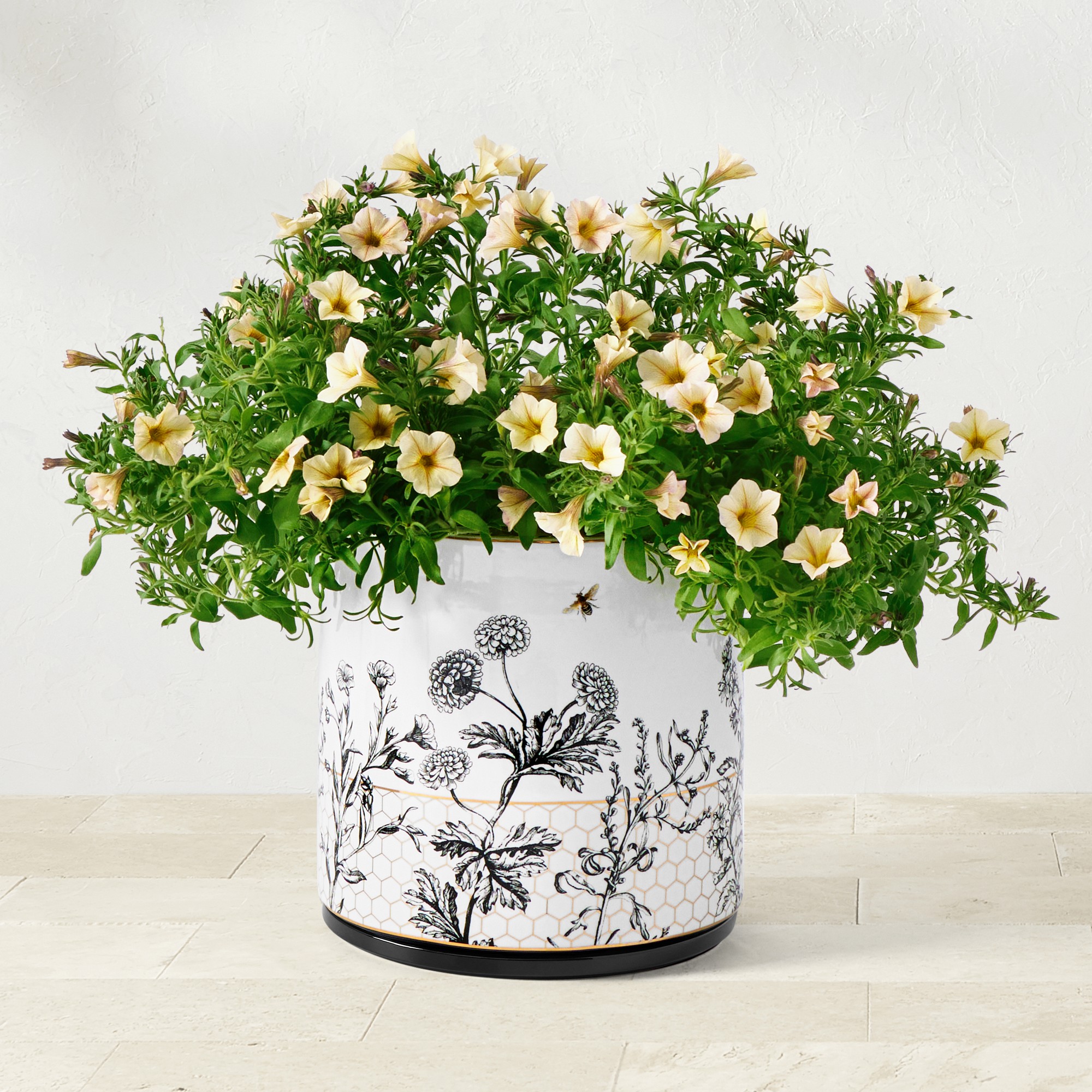 Honeycomb Ceramic Planter Collection