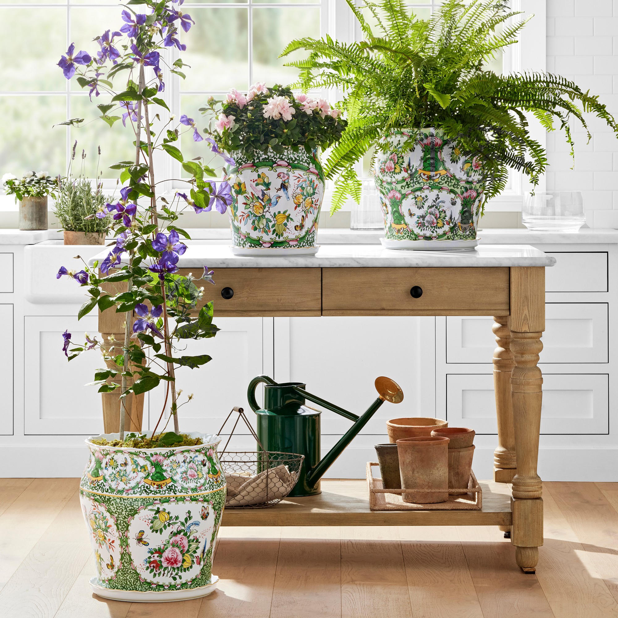 Famille Rose Planter Collection