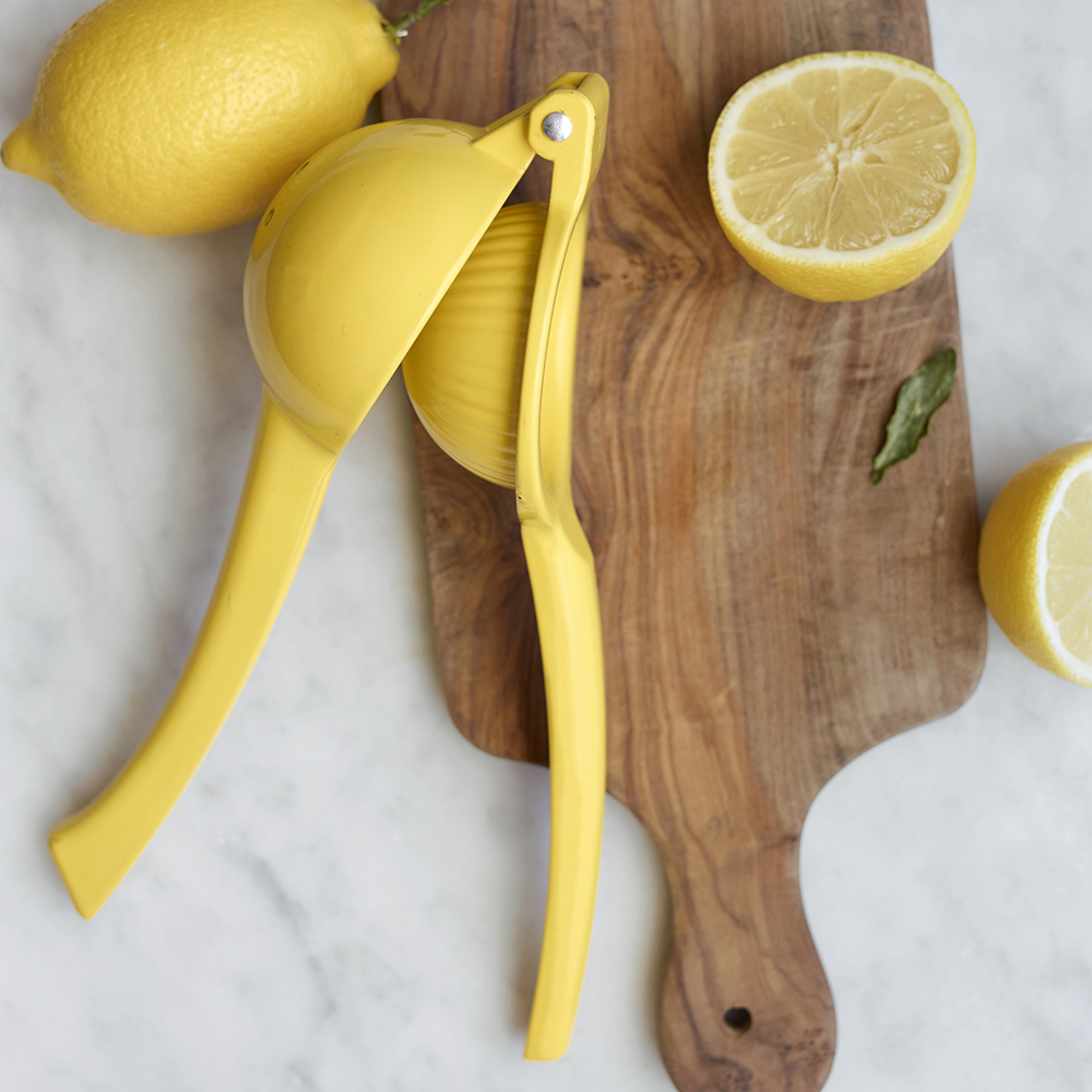 Open Kitchen by Williams Sonoma Lemon Press