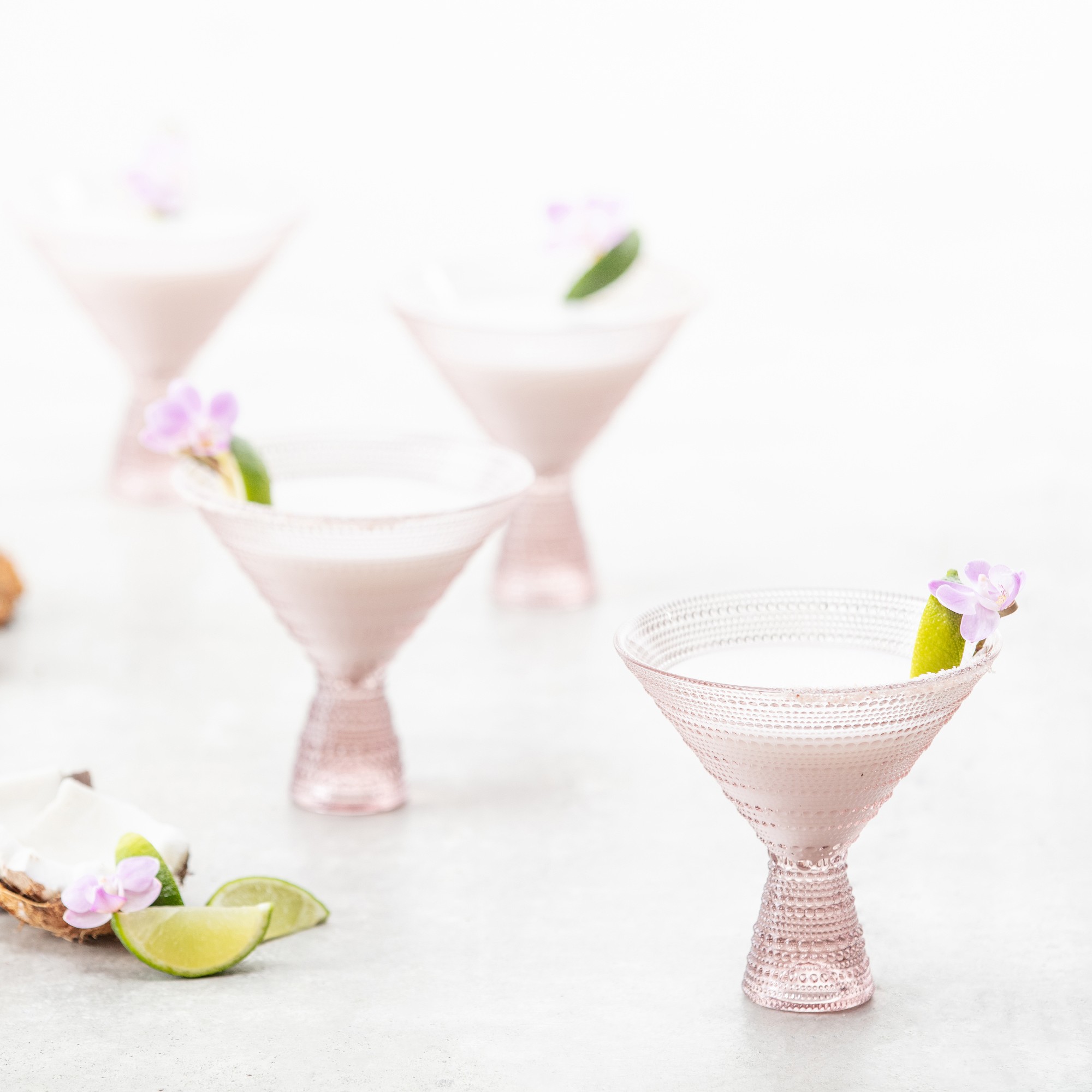 Fortessa Jupiter Martini Glasses