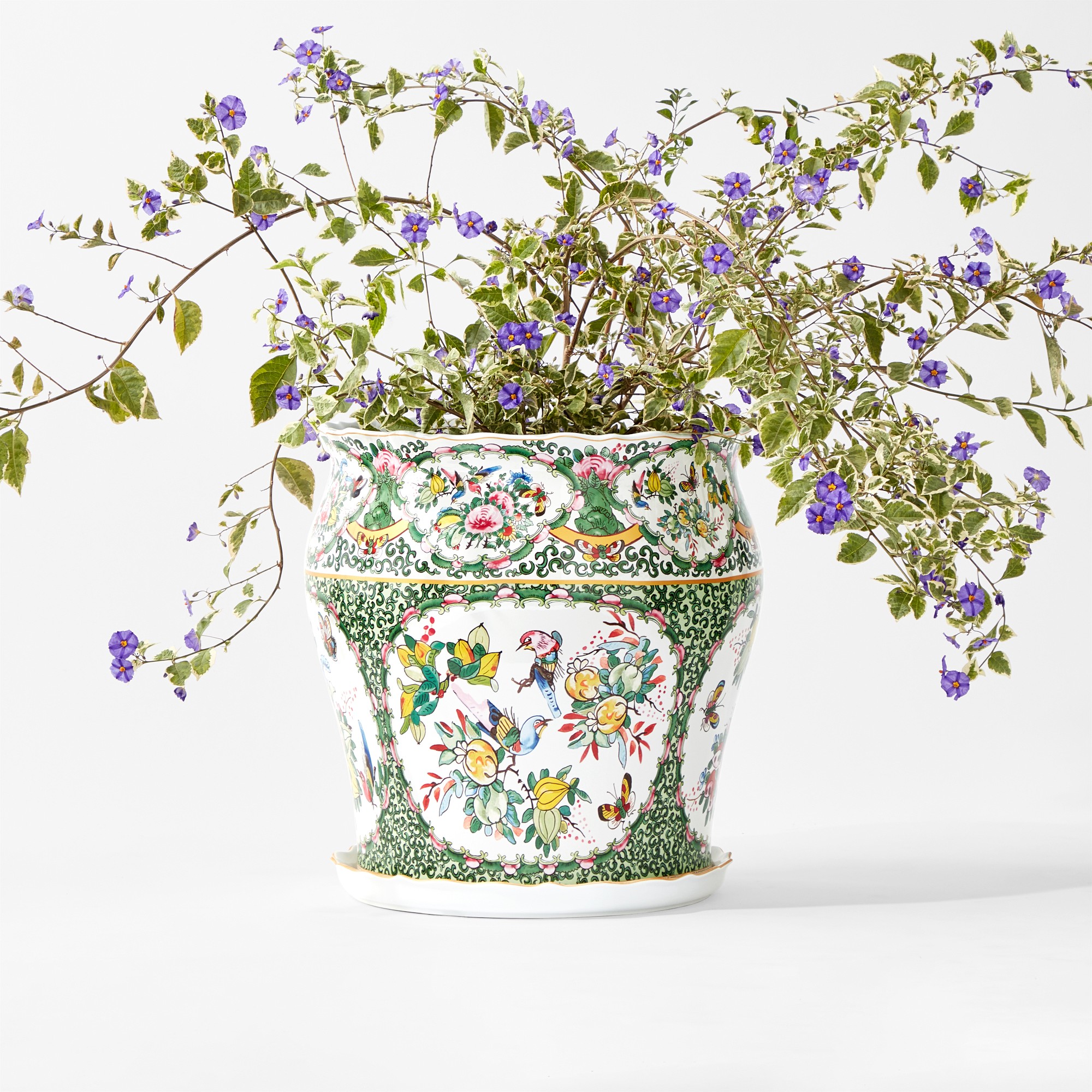 Famille Rose Planter Collection