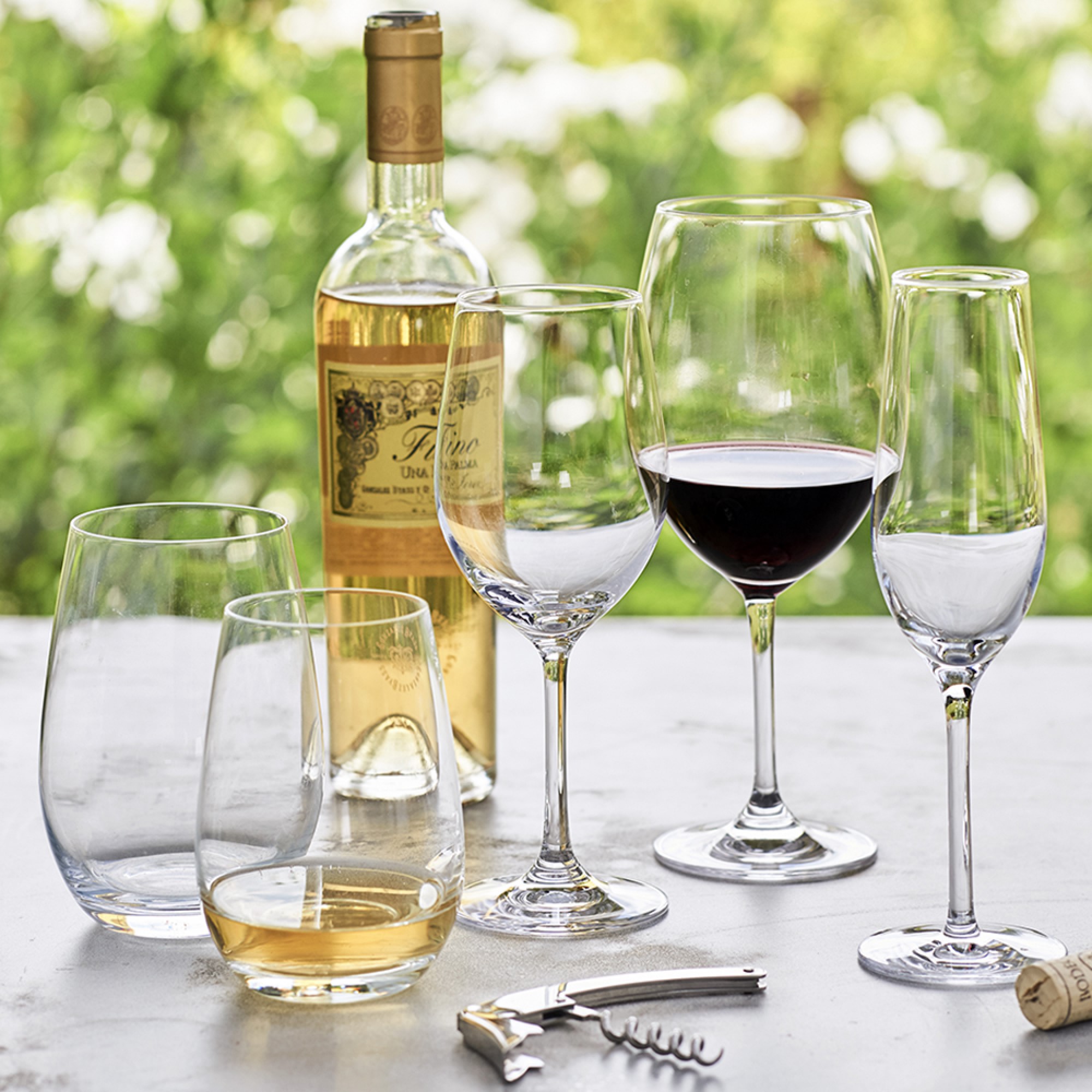 Open Kitchen by Williams Sonoma White Wine Glasses