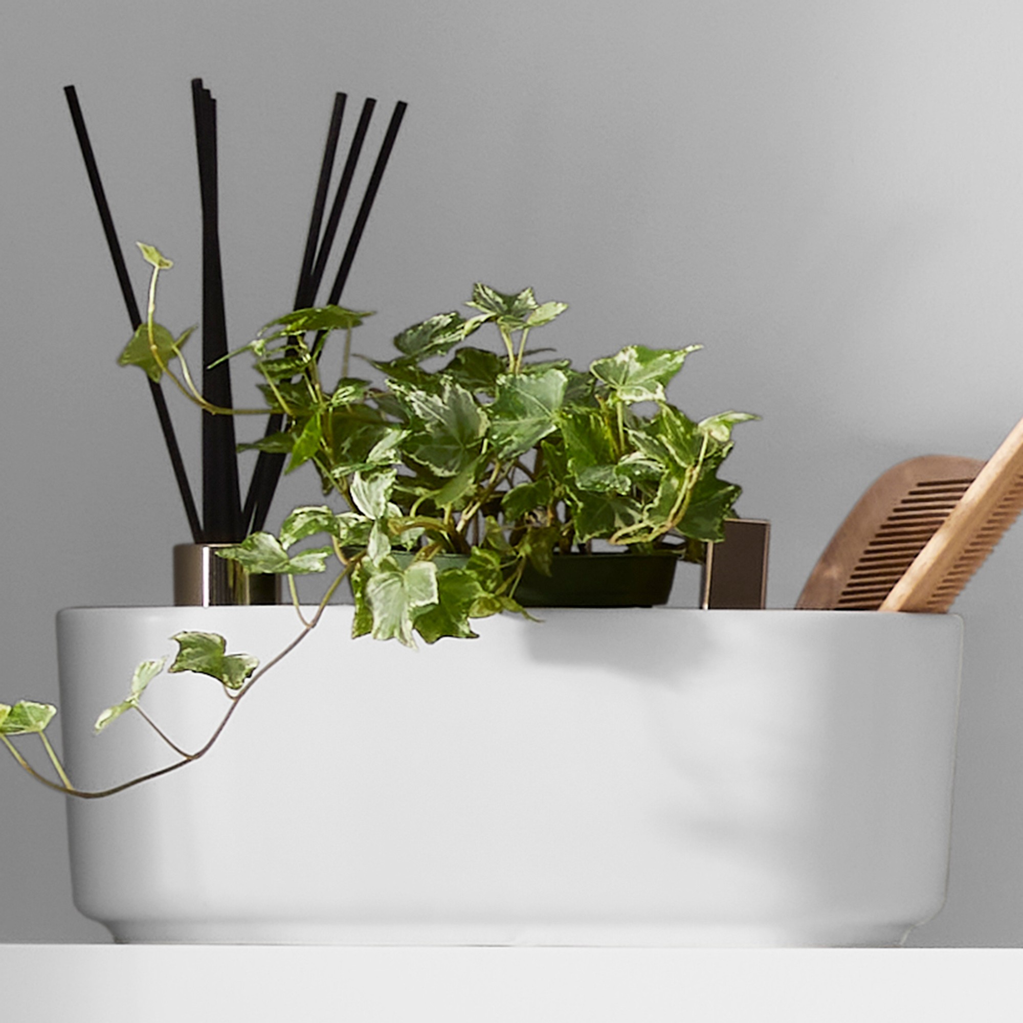 Hold Everything Ceramic Divided Tray