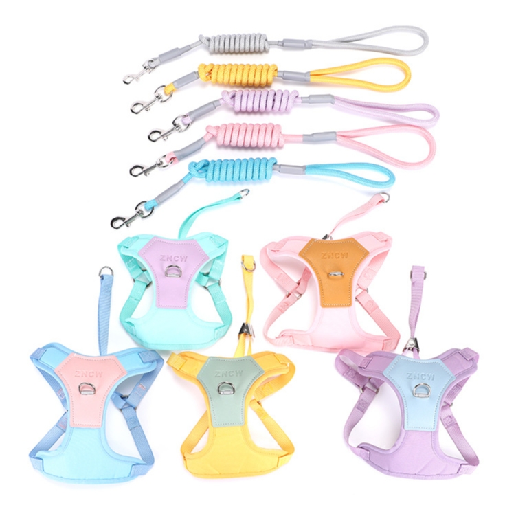 Custom No Pull Dog Harness with Pouch and Leash