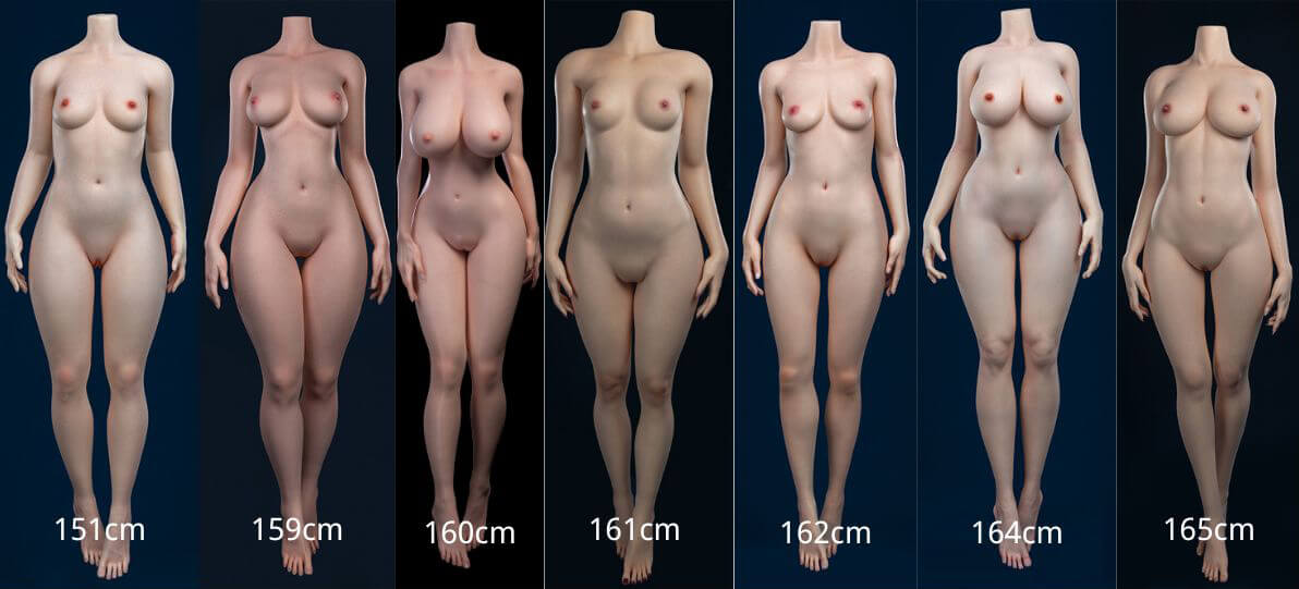 ボディ画像とサイズ一覧