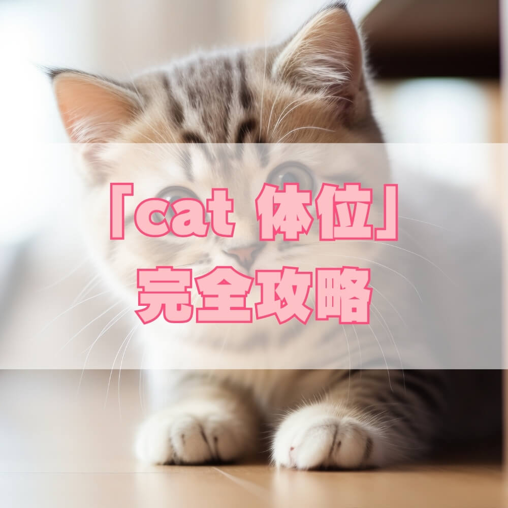 CAT体位完全ガイド――科学が証明した「彼女をイカせる」最強テクニック