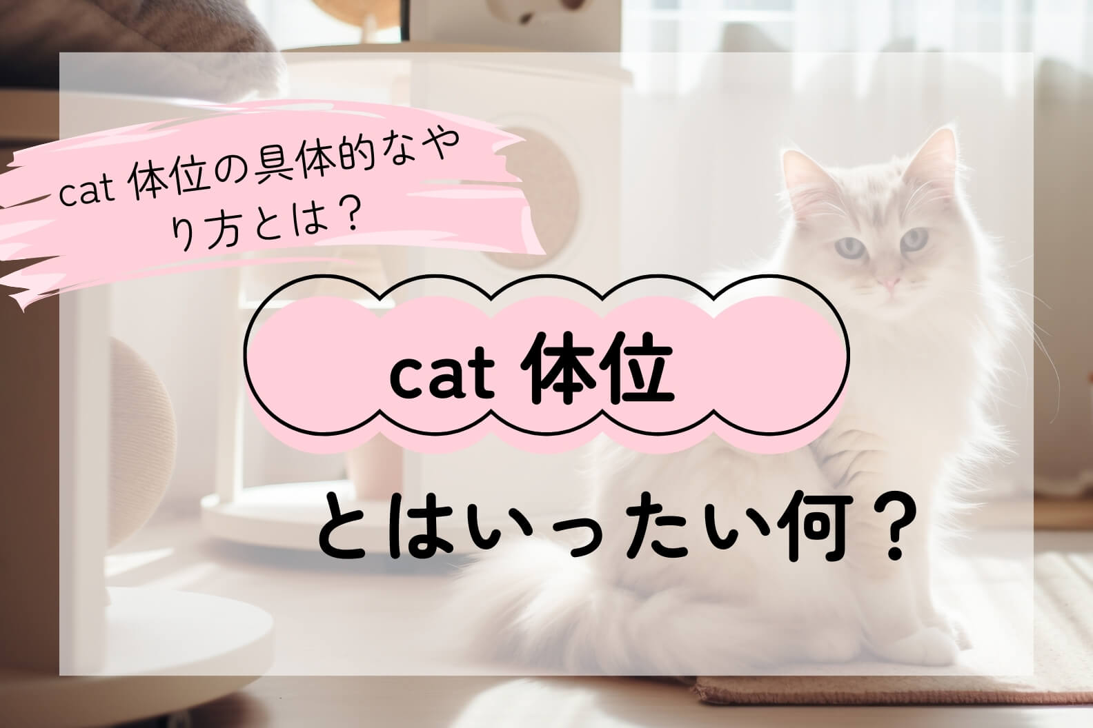 CAT体位の定義を説明するシンプルな図解