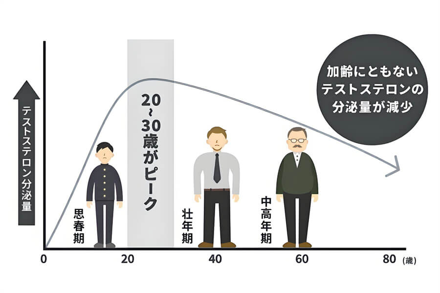 テストステロン不足が招くリスクと症状