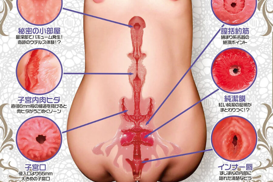 電動 オナホール​