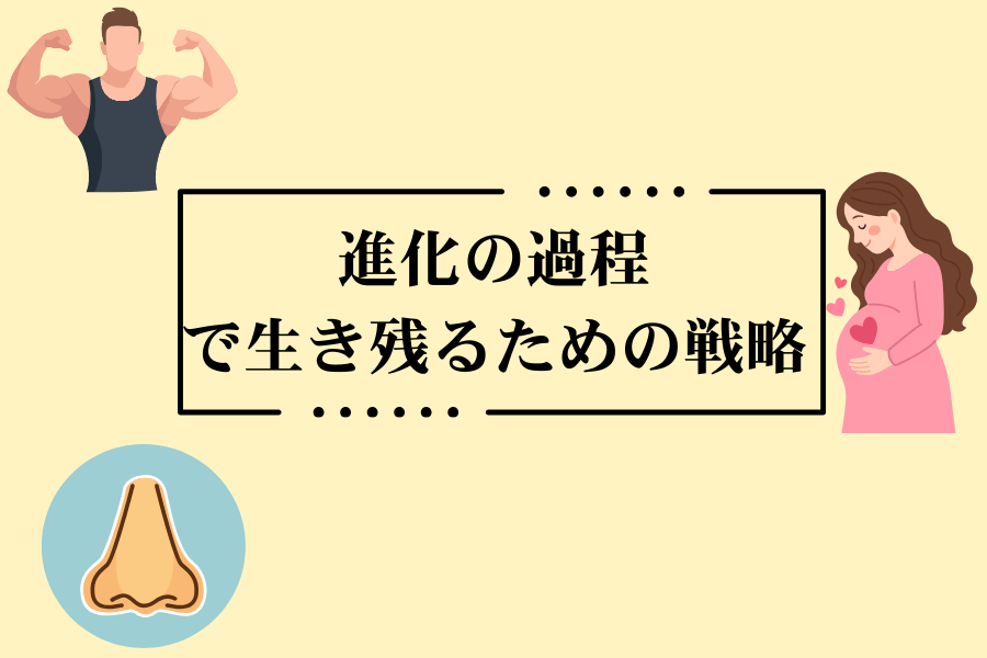 フェチは単なる文化現象ではなく、進化の過程で生き残るための戦略とも関連しています。