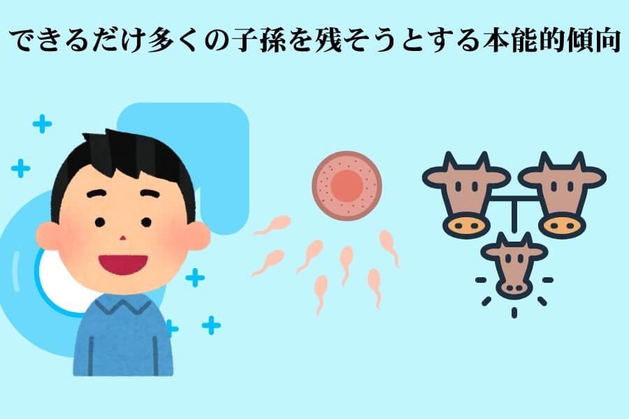 進化心理学では、浮気は繁殖戦略の違いによって説明されることがあります
