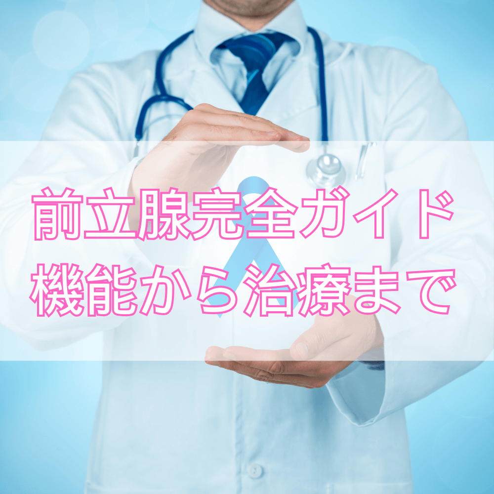 【医師監修】前立腺とは何か――機能・病気・検査と最新治療｜男性の健康を守る完全ガイド