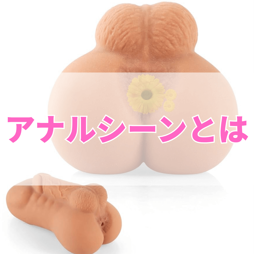 アナルシーンとは