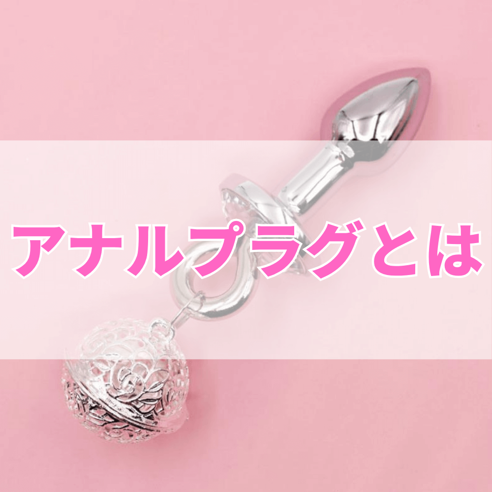 アナルプラグとは
