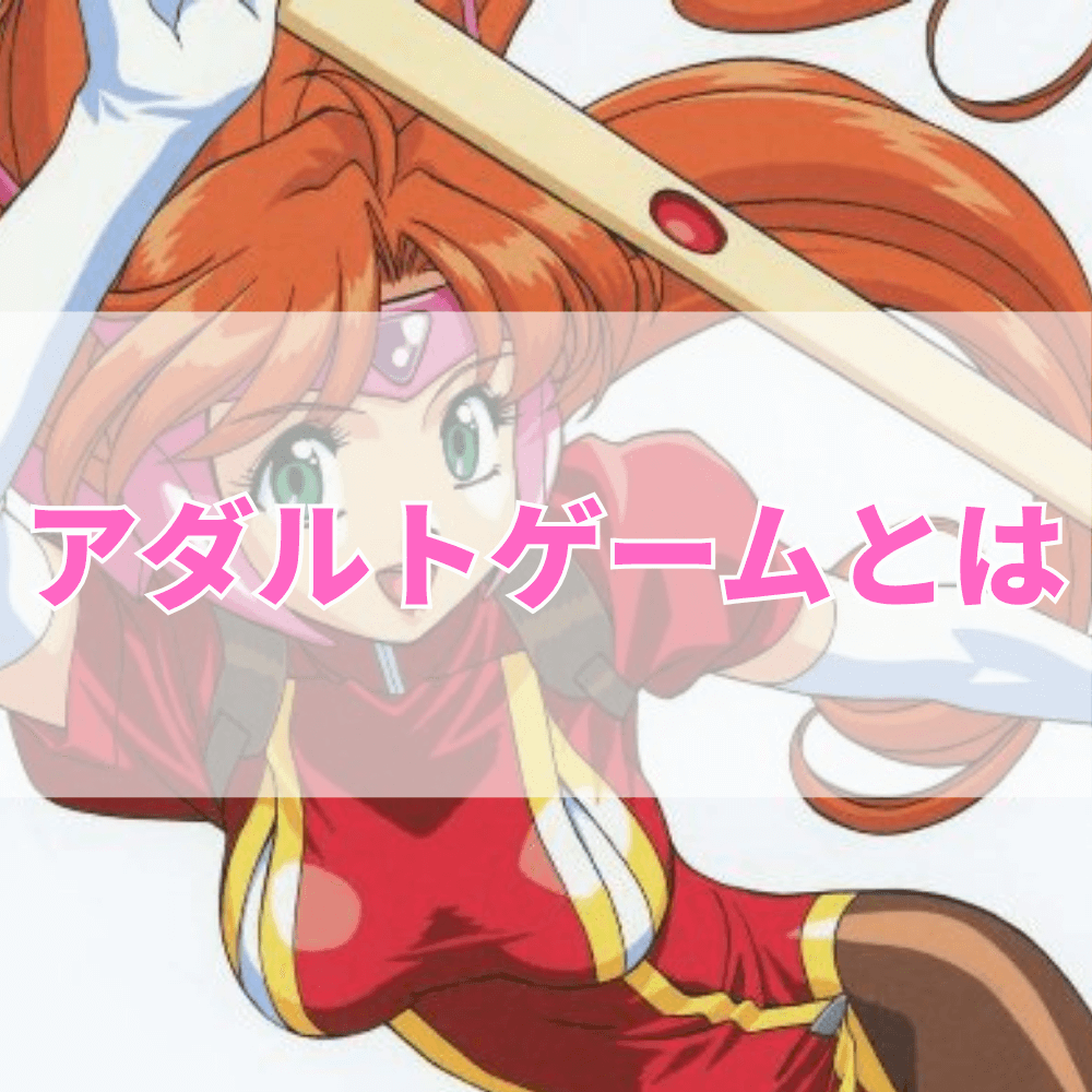 アダルトゲームとは