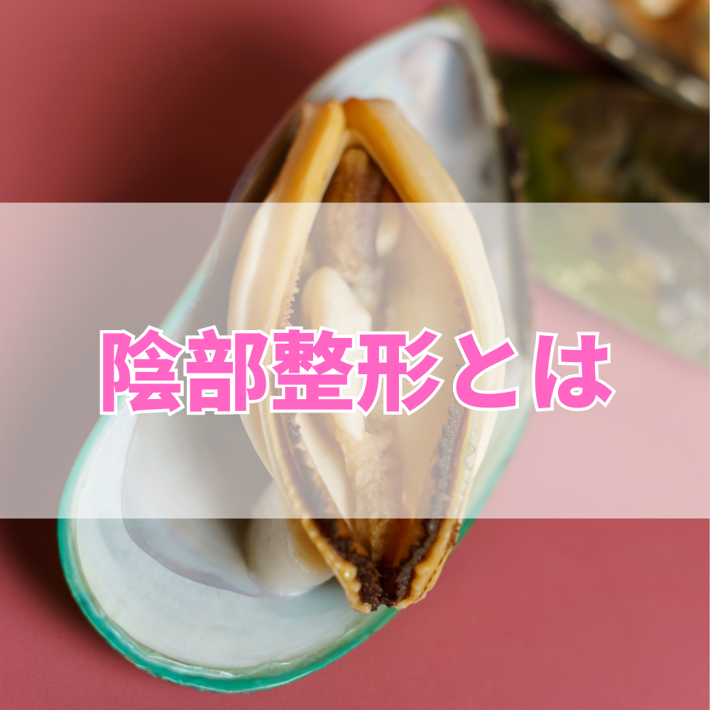 陰部整形（いんぶせいけい）とは